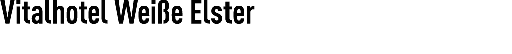 ﻿Vitalhotel Wei e Elster