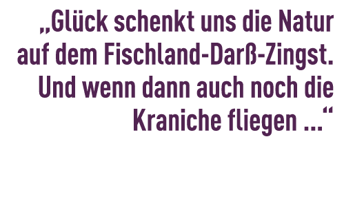 „Gl ck schenkt uns die Natur auf dem Fischland Dar Zingst. Und wenn dann auch noch die Kraniche fliegen ...“ 